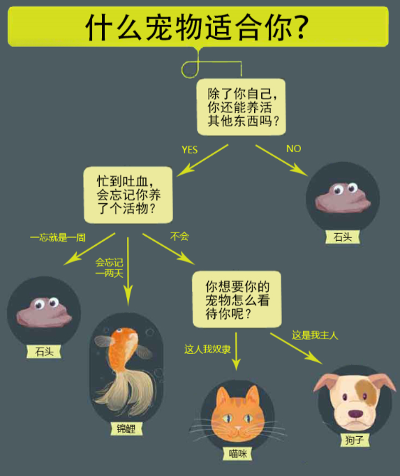 image-20241209145103826