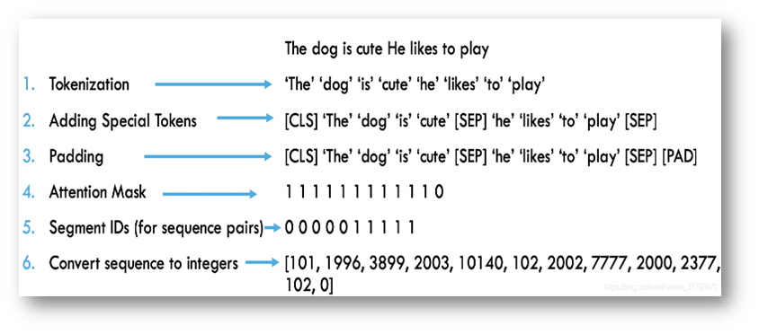 image-20241210102227536