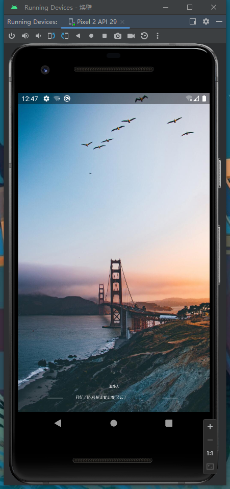 image-20241212142435523